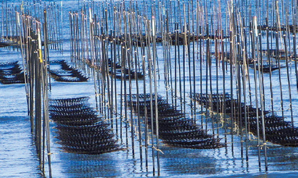 漁場への栄養の供給