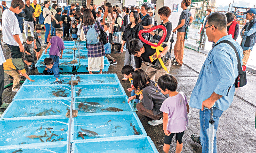 尾鷲魚市場での関連行事